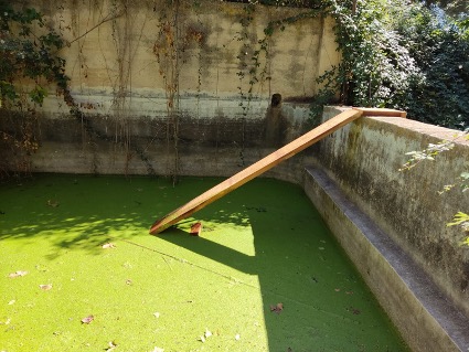 Rampa instal·lada en una bassa adjacent a la Bassa Gran